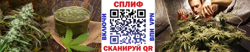 Купить закладки  Моздок  Cannafood конопля 