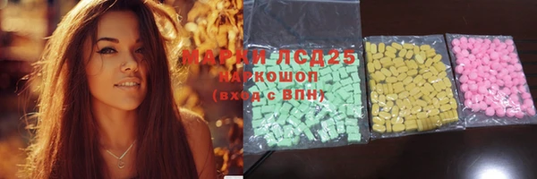 крисы Ельня