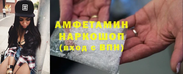 крисы Ельня