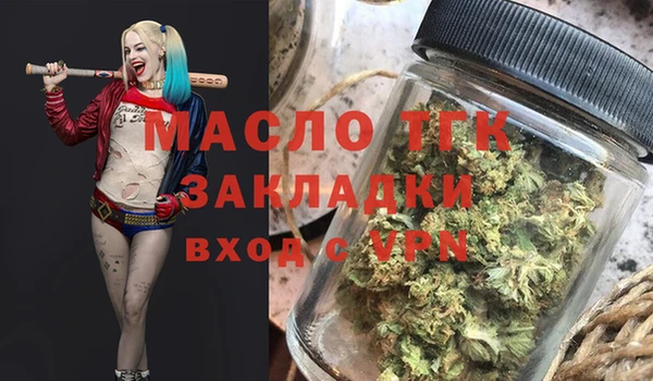 крисы Ельня
