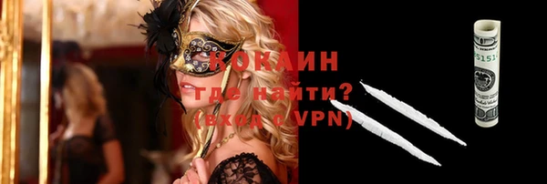 крисы Ельня