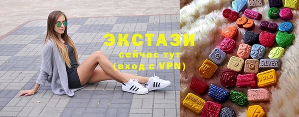 крисы Ельня