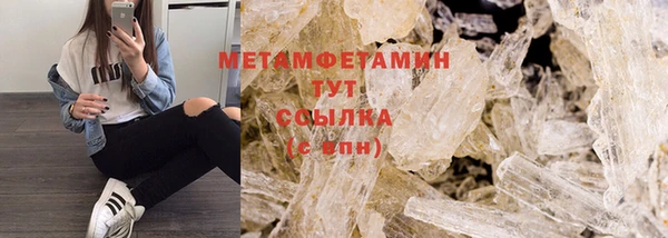 крисы Ельня