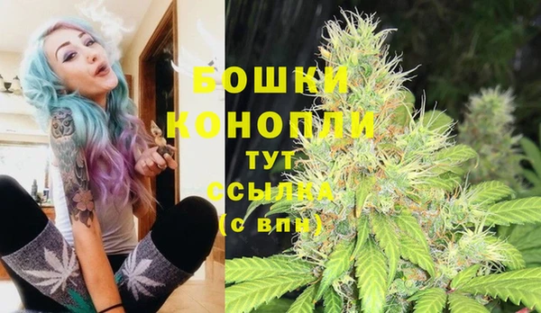 крисы Ельня