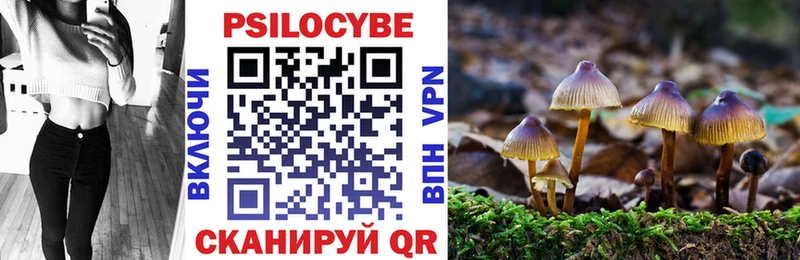 Купить закладки  Моздок  Галлюциногенные грибы прущие грибы 